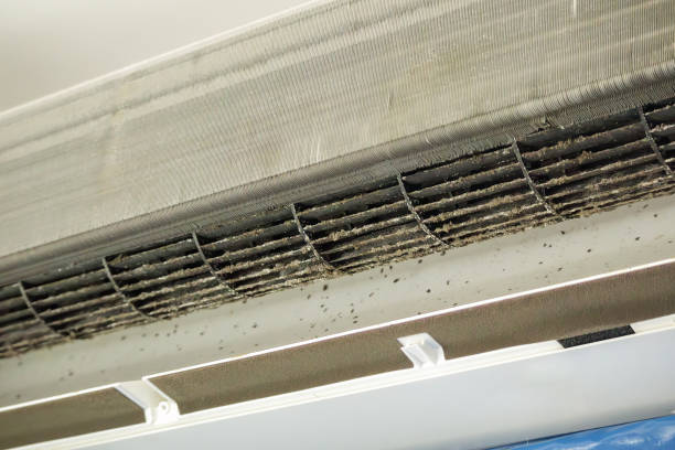 Best Emergency Air Duct Cleaning  in Stanaford, WV